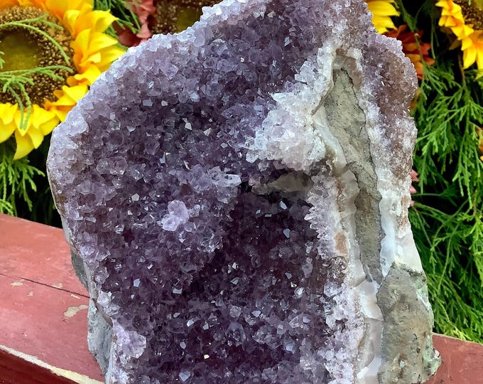 Amethyst Crystal Cluster ~ Large 4 lb. 8 oz. ~ 6" Tall ~ Reiki Display ~ Beautiful Purple Quartz Points ~ Fast & Free Shipping ~