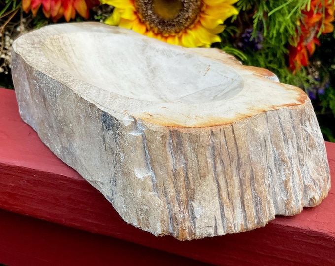 Petrified Wood Crystal Bowl ~ Large 3 lb. 10 oz. ~ 8" Long ~ Stunning Display from Indonesia, Millions of Years Old