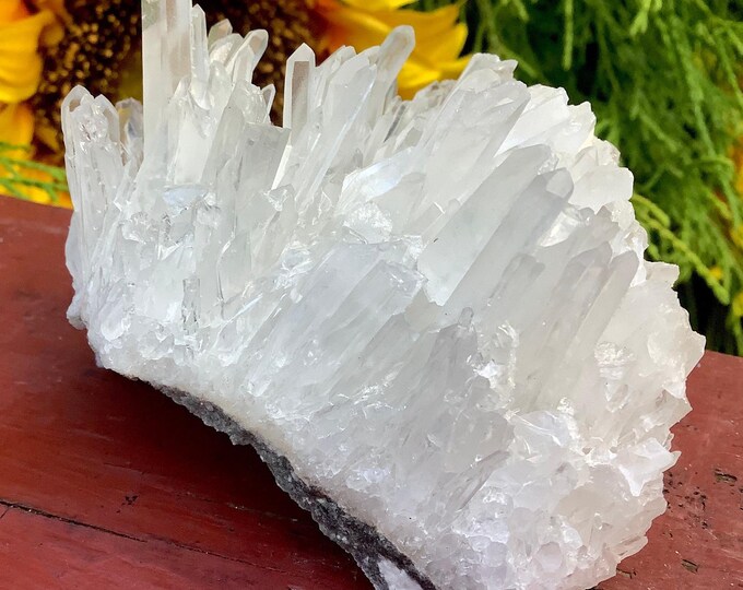 Clear Quartz Crystal Cluster ~ 6.2 oz. ~ 3" Long ~ Big Ultra Sparkling Water Clear Points ~ Reiki, Yoga Room, Display ~ Fast & Free Shipping