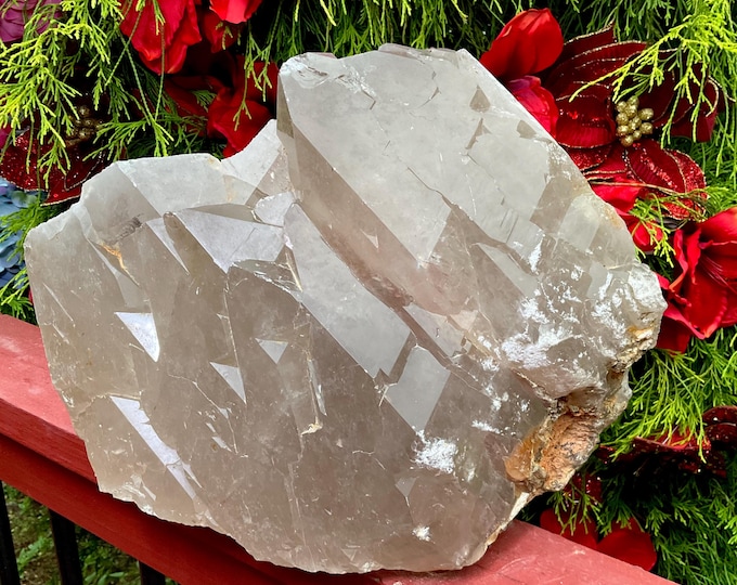 Massive Smokey Quartz Crystal Cluster ~ 38 lb. ~ 14" Long ~ Rare Specimen ~ Skeletal Quartz ~Metaphysical Home Decor