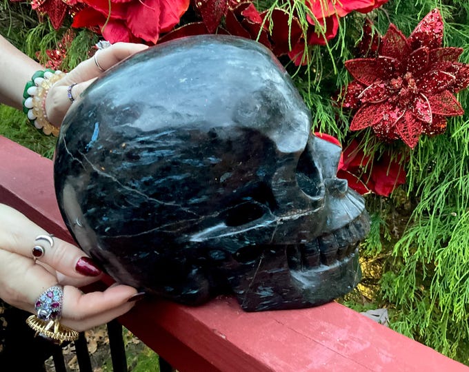 Astrophyllite with Garnet Crystal Skull ~ 26 Lb. ~ 10" Long ~ Flashing Blue Red & Black Colors ~ Hand-Carved Sculpture ~ Fast Shipping