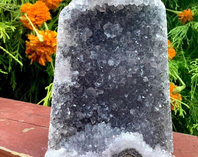 Amethyst Crystal Cluster ~ Large 1 lb. 6 oz. ~ 5 1/2 " Tall ~ Reiki Display ~ Beautiful Purple Quartz Points ~ Big Specimen