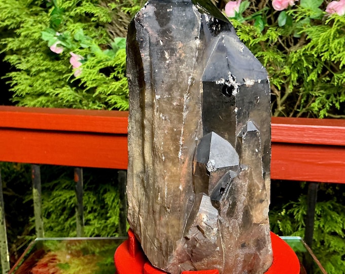 Black Morion Quartz Display Crystal 6 Lb. 15 oz.  Single-Terminated Point Cluster ~ 8" Tall ~Natural Black Color ~ Custom Hand Carved Stand
