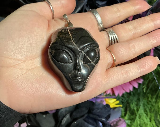 Hand Carved Petrified Wood Alien Skull Pendant: Swirling Black Crystal Sculpture