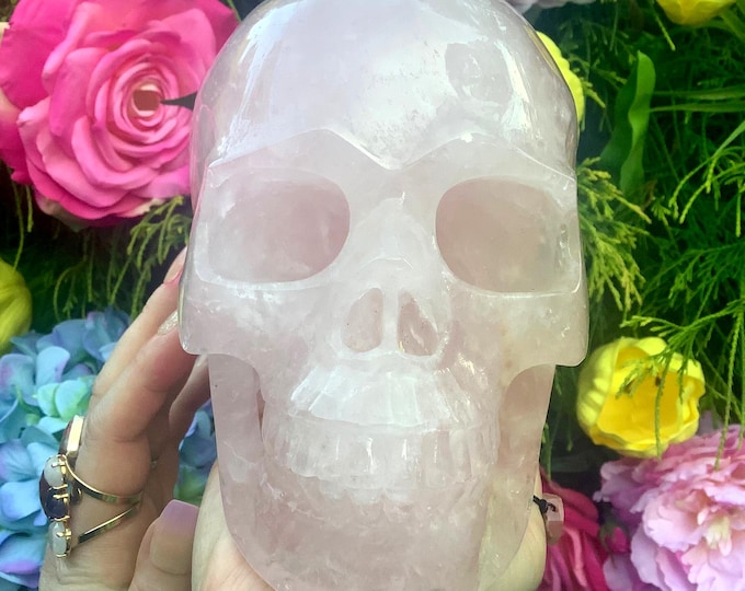Rose Quartz Crystal Skull ~ Large 7 Lb. 8 oz. ~ 6" Long ~ Hand Crafted Sparkling Pink & White Sculpture ~ Fast and Free Shipping from U.S.A.