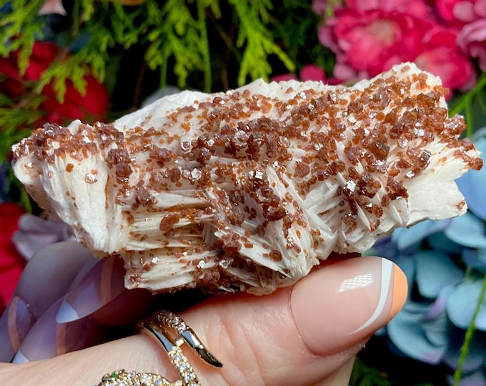 CLEARANCE ~ Vanadinite on Barite Cluster ~ 5 oz. ~ 3" Long ~ Ultra Sparkling Red Crystals on White Matrix