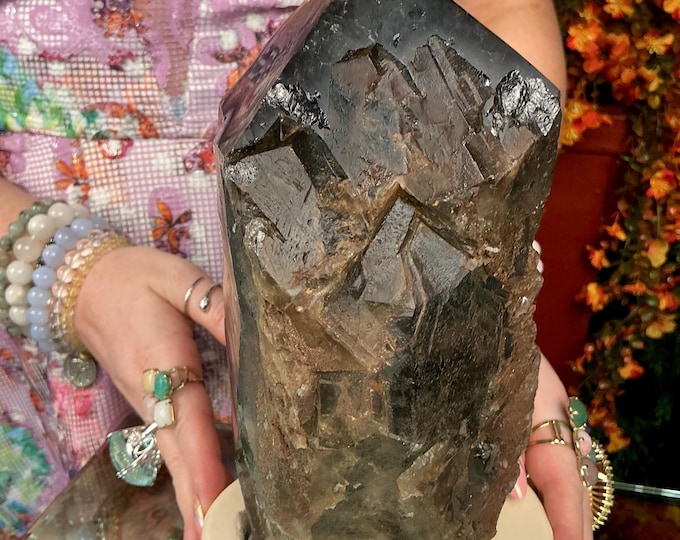 Black Morion Quartz Display Crystal 6 Lb. 11 oz.  Single-Terminated Point Cluster ~ 8" Tall ~Natural Black Color ~ Custom Hand Carved Stand