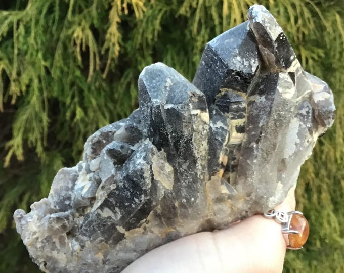 Black Morion Quartz Cluster ~ Large 12.4 oz. Crystal ~ 5" Long ~ Natural Jet Black Points ~ Handheld Specimen ~ Sparkling Matrix Inclusions