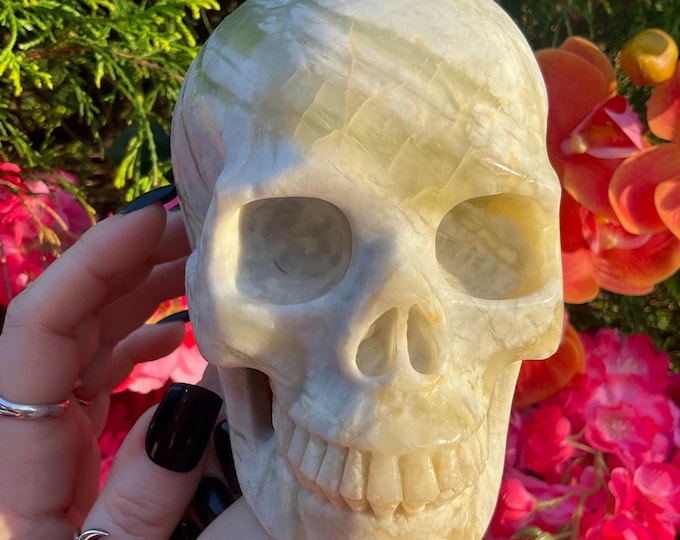 Green & White Agate Crystal Skull ~ 3 Lb. 2 oz. ~ 6" Long ~ Swirling Colors ~ Expertly Hand-Carved Display Sculpture