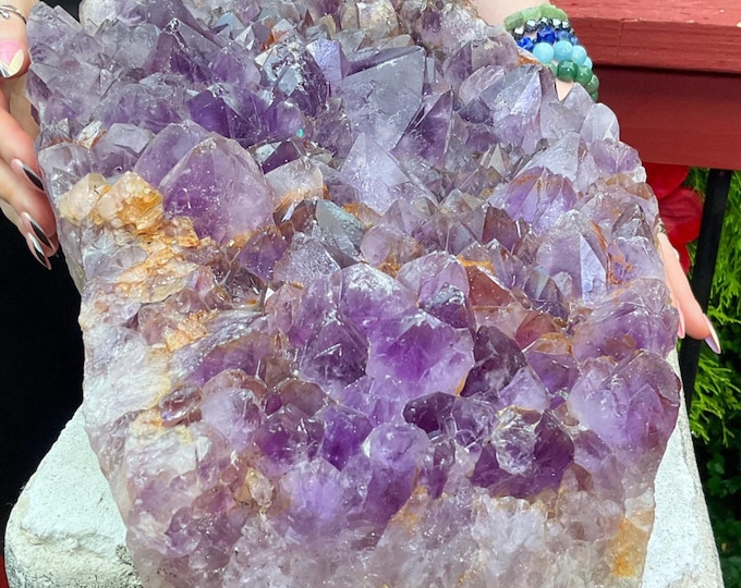 Massive 48 lb. Amethyst Crystal Cluster ~ 16" Long ~ Sparkling Beautiful Purple Points ~ Crown Chakra Healing ~ Home Decor