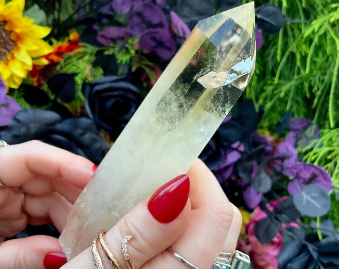 Citrine Quartz Crystal Wand ~ Large 7.5 oz. ~ 6" Long ~ High Altitude Himalayan Point ~ Clear Yellow Phantoms Sparkling Rainbow Inclusions