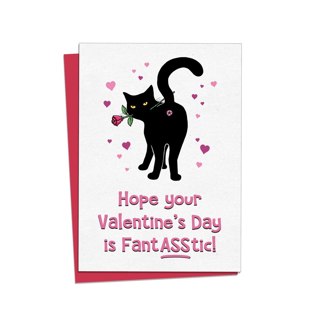cat-valentine-card-rude-valentines-card-valentines-card-for-etsy