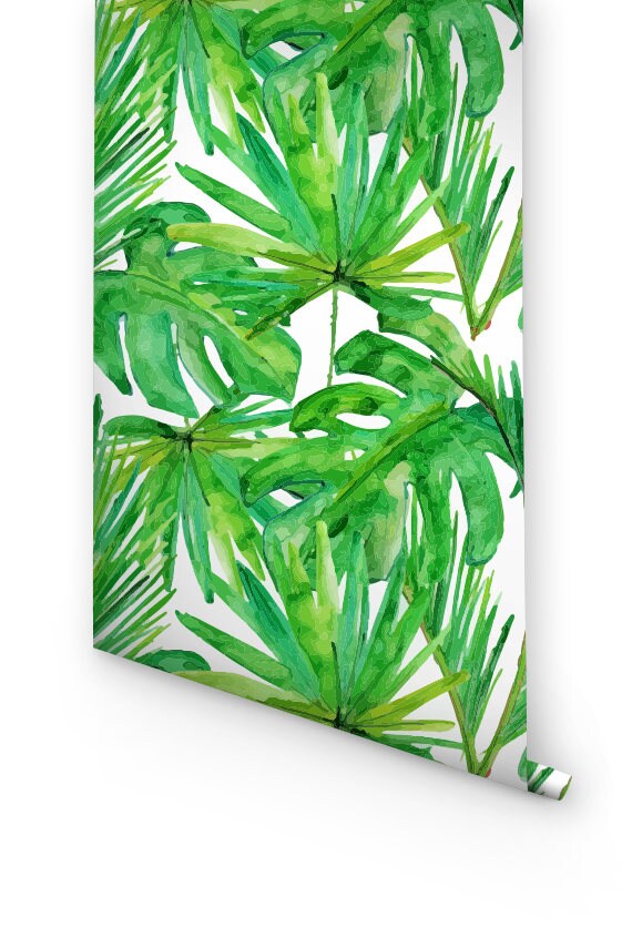 BW005 Removable Wallpaper Tropical wallpaper
