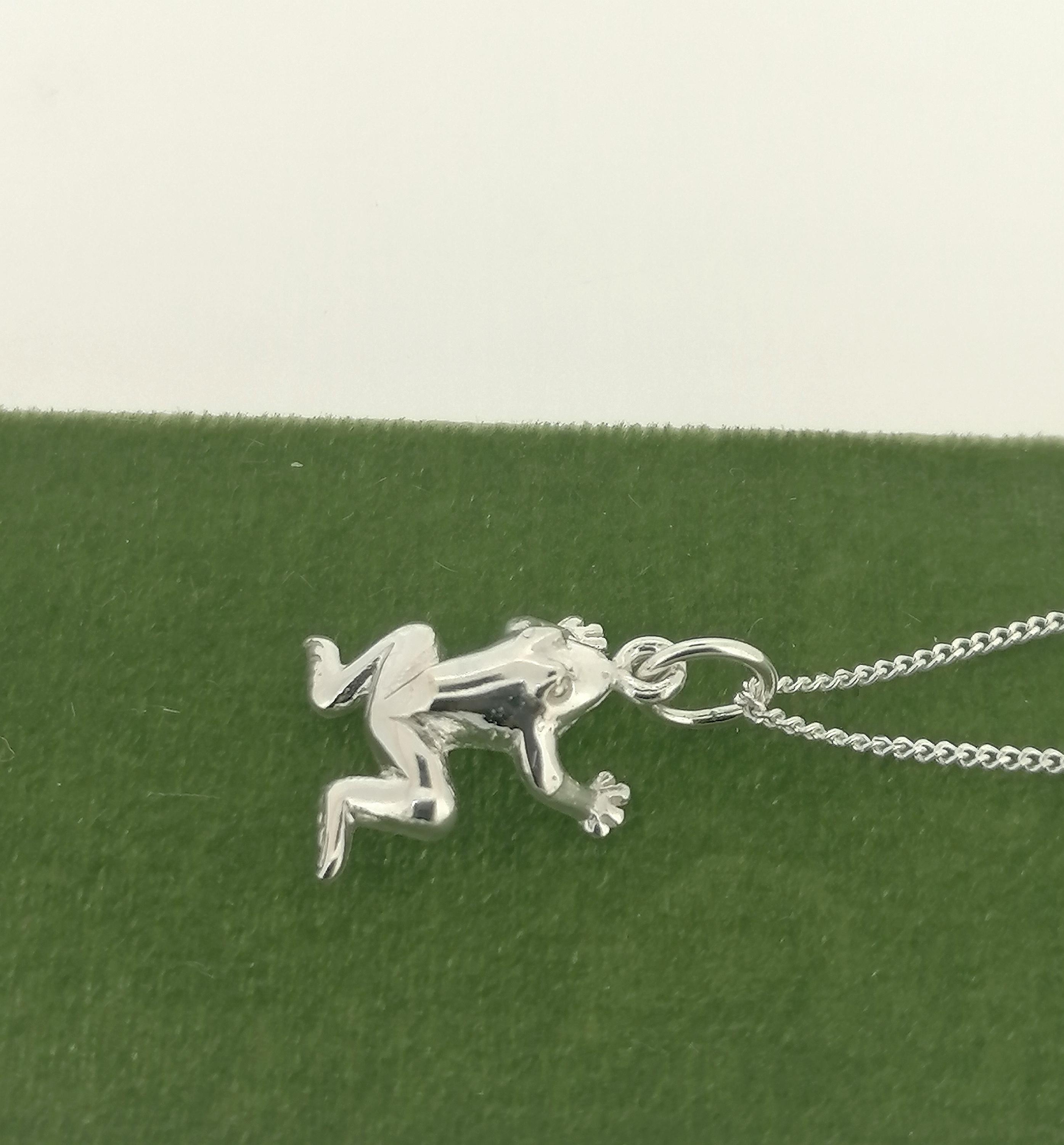 Collana con ciondolo a forma di rana, collana con animali, gioielli con catena in argento sterling 925, compagna di tutti i giorni - Italia