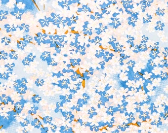 Japanese Paper - Origami Paper - Washi Paper - Yuzen Paper - Chiyogami Paper - Blue & White Cherry Blossoms 0548