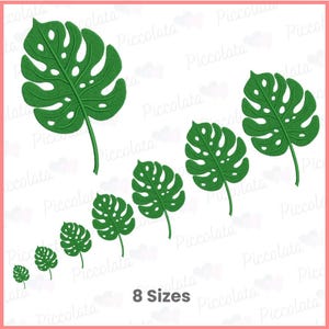 Op de afbeelding: Acht verschillende maten groene monstera bladeren, elk met een unieke vorm en grootte, worden getoond op een witte achtergrond. De bladeren zijn in een verspringend patroon gerangschikt, met het grootste blad bovenaan en het kleinste blad onderaan. De tekst "8 maten" is in zwart gedrukt onderaan de afbeelding.