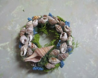 May include: A seashell wreath with a variety of seashells, including a large conch shell, arranged in a circle with blue and green accents.