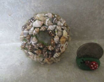 May include: A wreath made of seashells, with a variety of shapes and colors, including white, brown, and tan. The wreath is decorated with green moss and is approximately 6 inches in diameter.