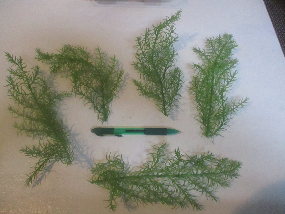 5 Artificial Seaweed Grass Stems/tropical Miniature Scene Etsy