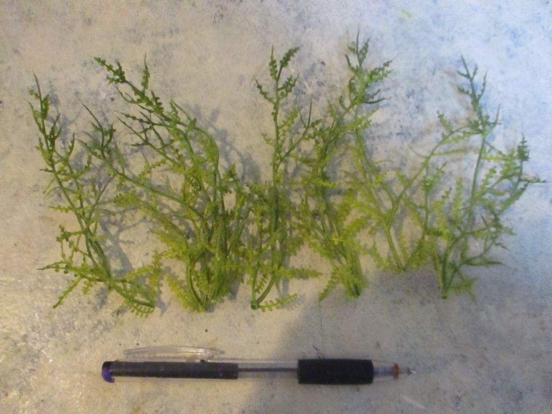 8 Artificial Seaweed Stems/tropical Miniature Scene Addition Etsy