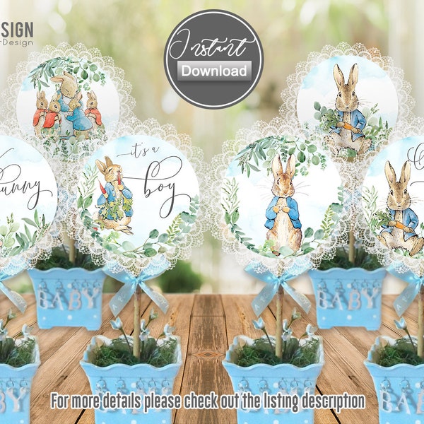 Peter Rabbit centerpieces, baby shower centerpiece, little bunny, cake topper, decoration, printable, instant download, digital NOT EDITABLE