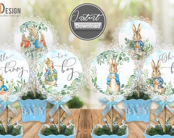 Peter Rabbit Mittelstücke, Baby-Dusche-Mittelstück, kleiner Hase, Cake Topper, Dekoration, printable, sofortiger Download, digital NICHT EDITIERBAR