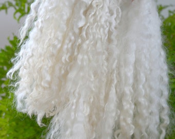 Doll Hair: Wensleydale curly locks, 20-25cm