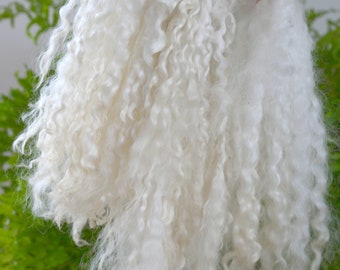 Doll Hair: Wensleydale curly locks, 25cm