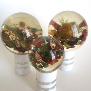 Pierre GIRAUDON style lucite bowl inclusion with real insects 1970, 3 Sphéres en résine à inclusion d'insectes, Cabinet de curiosités