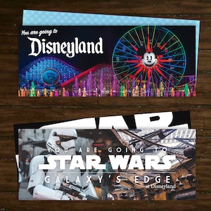 Disneyland, ticket, trip, vacation, family, castle, Star Wars, Mickey, park, California, cars, Toy Story, surprise, gift, special, movie