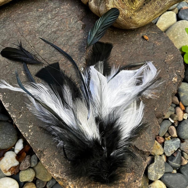 Feathers Black and White Costume, Burlesque, Dance Hair Clip