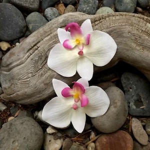 Set of Two Small White Orchid Tropical Hair Clips