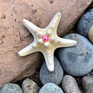 Mermaid, Ariel, Beach Starfish with Pink Pearl Hair Clip