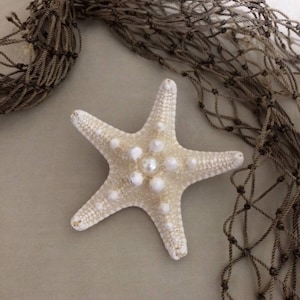 Mermaid Bridal Ocean Knobby Starfish with Pearl Hair Clip