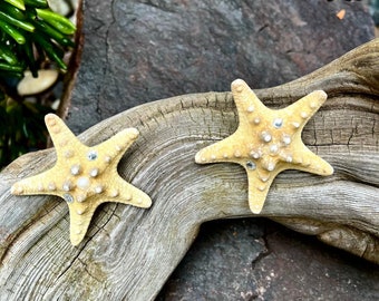 Set of Two Mermaid Natural Thorny Starfish, Red and Green Accents