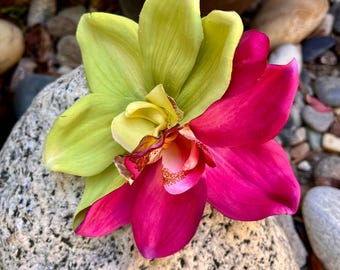 Hawaiian Lime Green and Magenta Orchids Flower Hair Clip