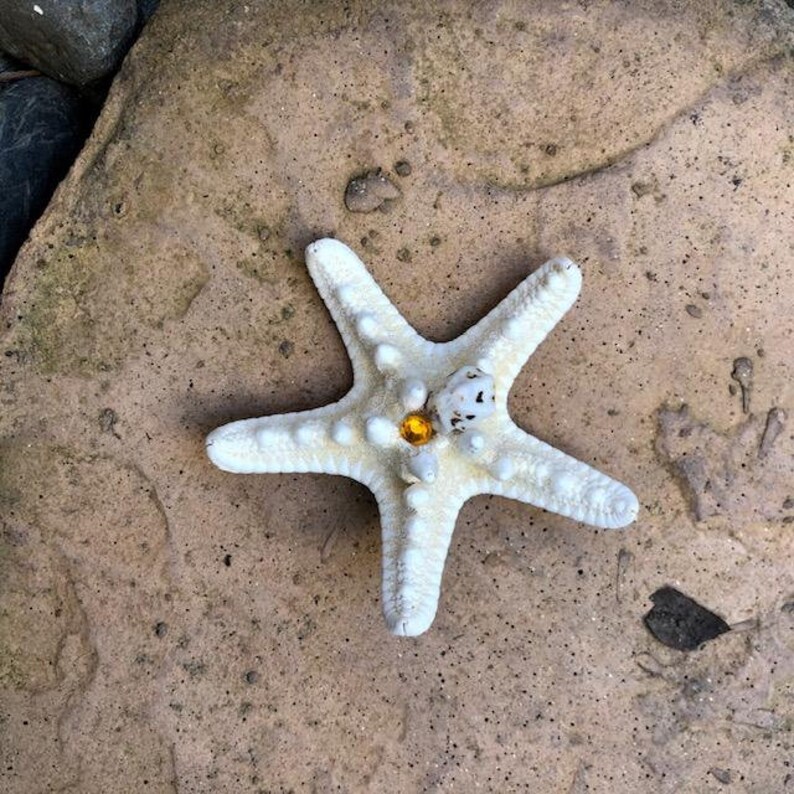 Mermaid Natural Starfish with Seashell Hair Clip