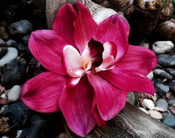 Magenta Double Orchids Tropical Flower Hair clip