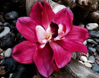 Fuchsia/Magenta Double Orchids Tropical Flower Hair clip