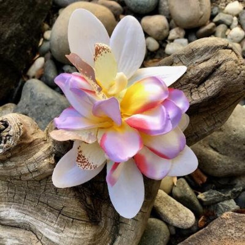 Tropical Hawaiian Bridal Orchid Plumeria Silk Flower Hairpiece Etsy