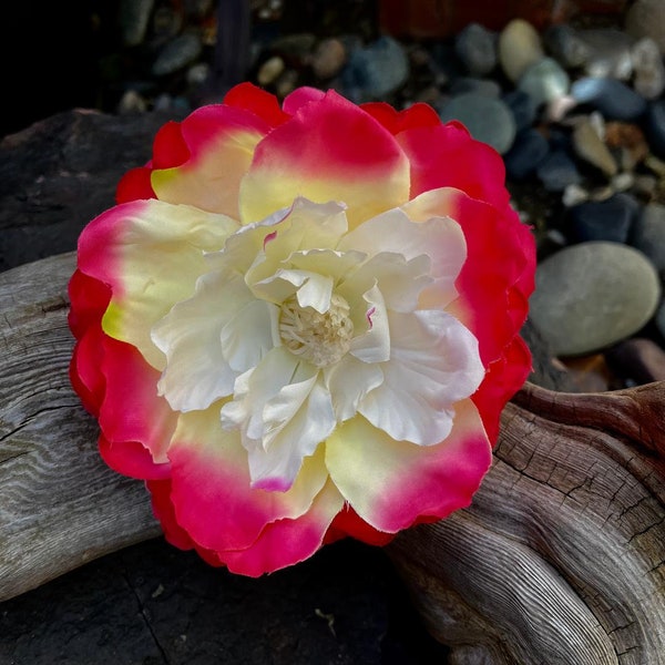 Tropical Peony Hot Pink/Pale yellow/White Large Silk Flower Hair Clip