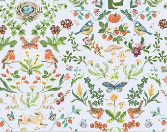 Robin by Clare Therese Gray, Robin's Nest in Dew, per half-yard, Windham Fabrics