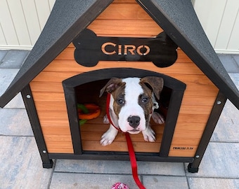 May include: A white and brown dog with a red collar sits inside a wooden dog house with a black roof. The dog house has a bone-shaped sign above the entrance that says "CIRO" in black letters. The dog house is on a gray patio.