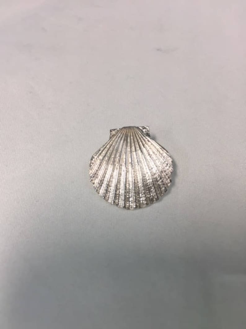 Medium Scallop Shell Necklace ~ Sterling Silver main image 1