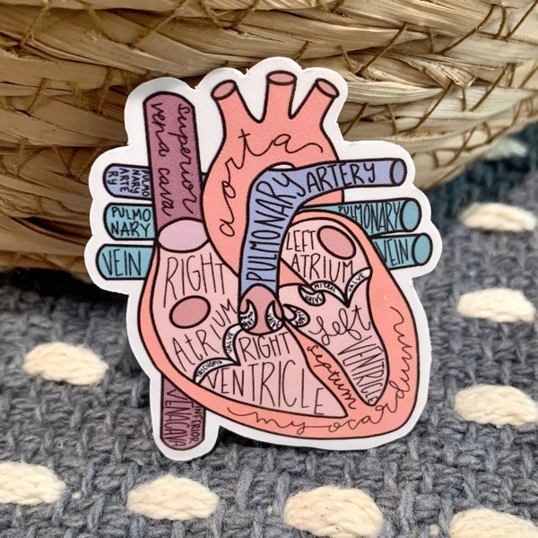 Nurse Stickers, Nursing Stickers, Medical Stickers, Cardiac Nurse Stickers, Nursing Computer Stickers, Nurse Vinyl Stickers, Heart Sticker