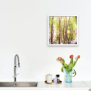 May include: A framed landscape print featuring trees reflected in water. The artwork has a white frame and is displayed on a white wall. A vase of tulips and kitchen accessories are in the foreground.