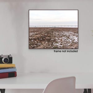 West Texas Baumwollfeld Fotodruck, rustikale Landschaft-DIGITAL DOWNLOAD