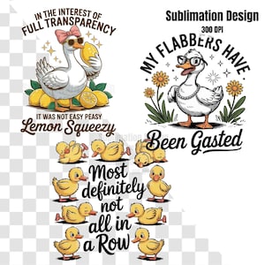 Lot de 3 images de canard et d'oie d'affilée PNG Flabbers goûté au jus de citron