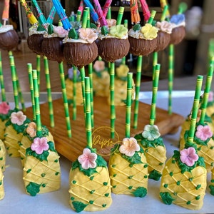 Luau Coconut Cake pop & Pineapple Rice Kripsy party bundle