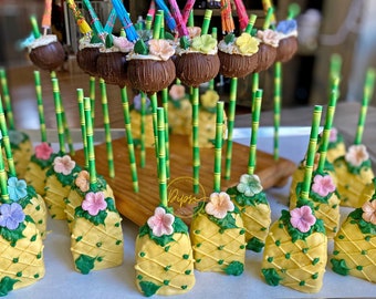 Luau Coconut Cake pop & Pineapple Rice Kripsy party bundle